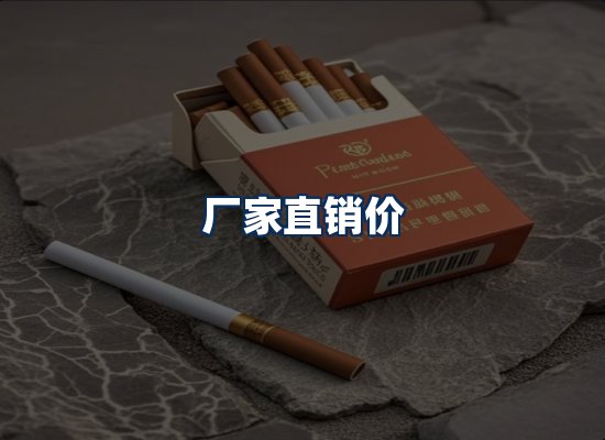 专业团队办公环境